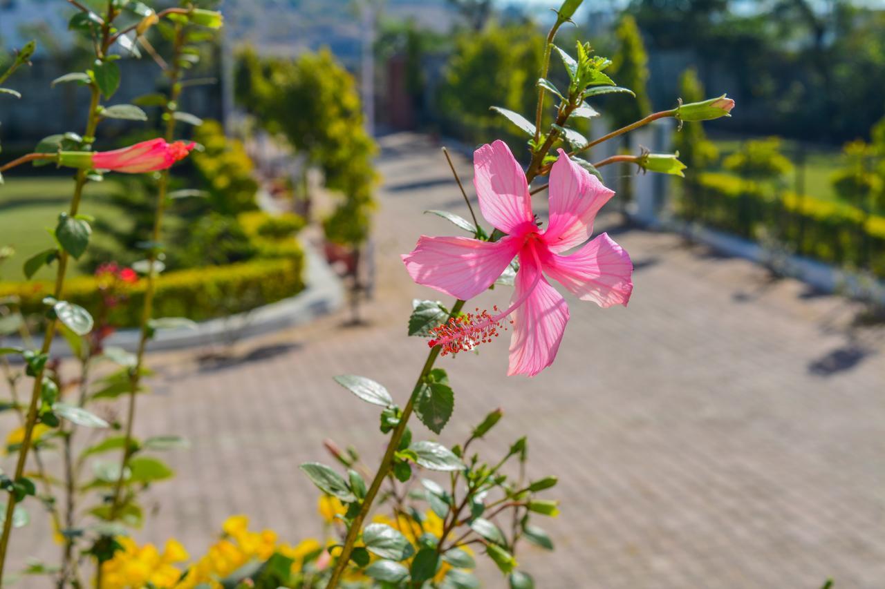 Tiger Hill Homestay Ουνταϊπούρ Εξωτερικό φωτογραφία